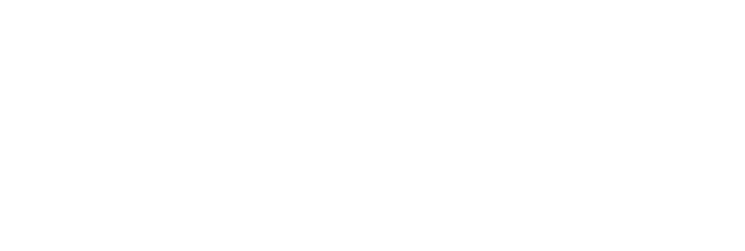 Windstream-Communications-nespon-client-logo.svg