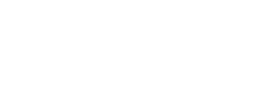 nespon-client-logo-Windstream
