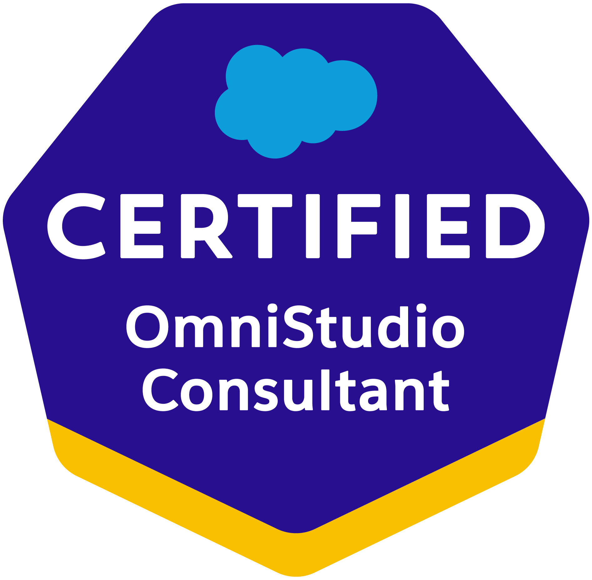 OmniStudio-Consultant-2.png